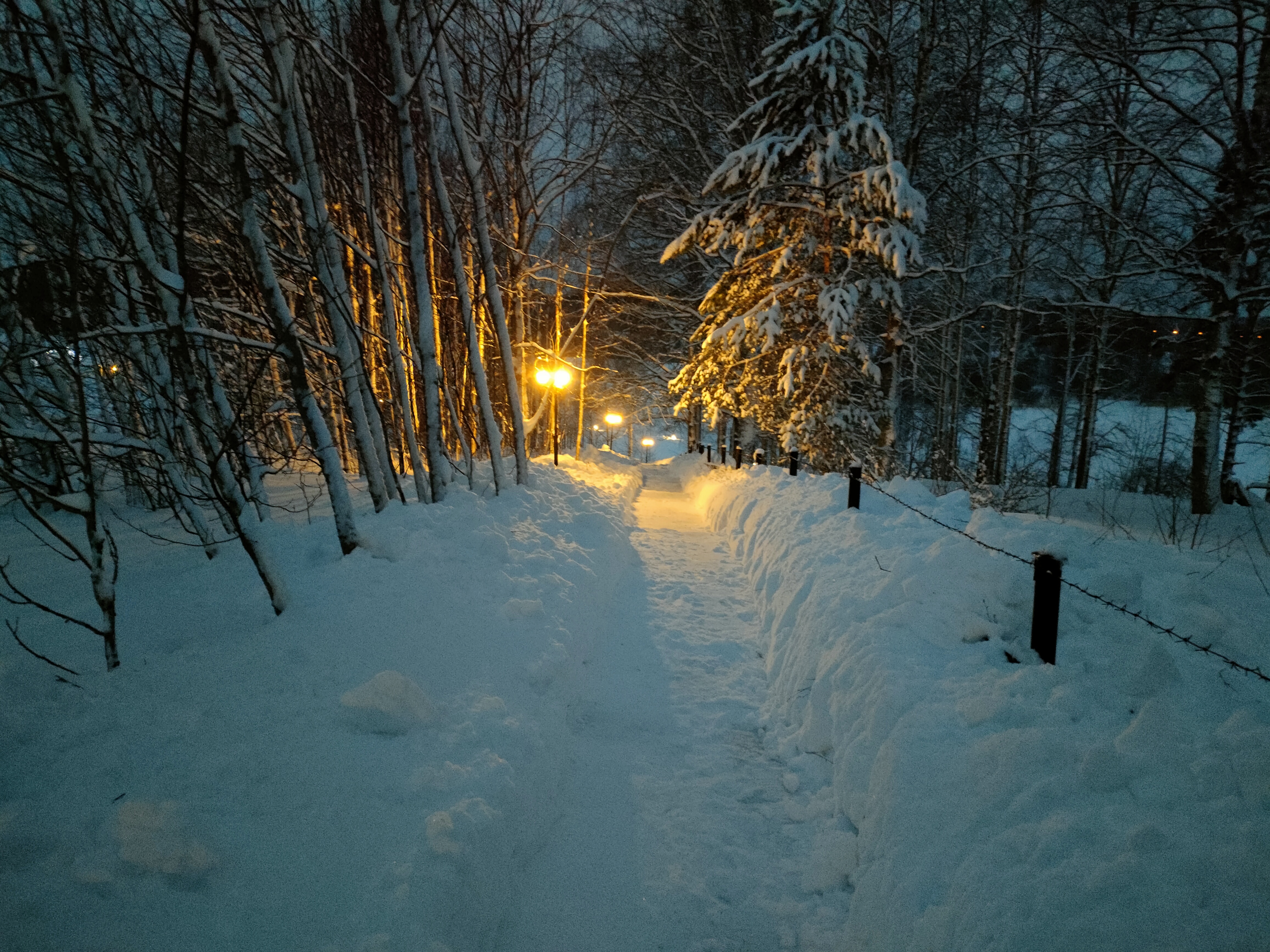 Фото Forrest Lodge Karelia
