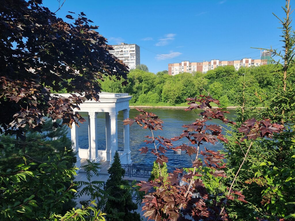 Urban forest Serebryany Bor Nature Monument, Moscow, photo