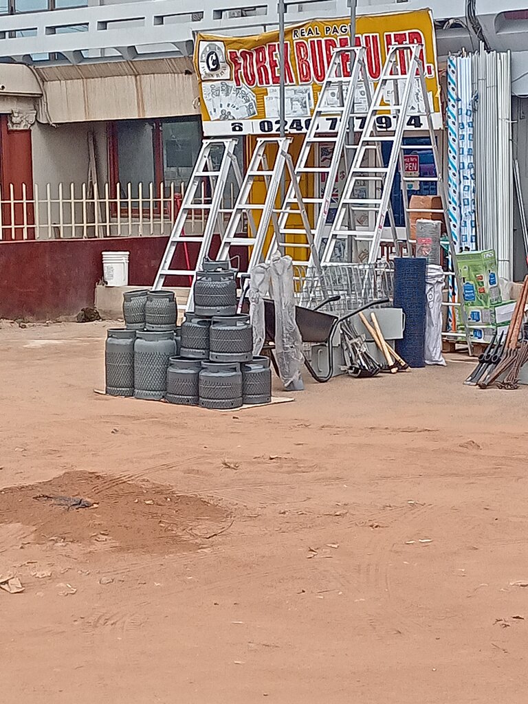 Foreign trade and foreign economic organizations Real pag forex bureau Ltd, Earth, photo