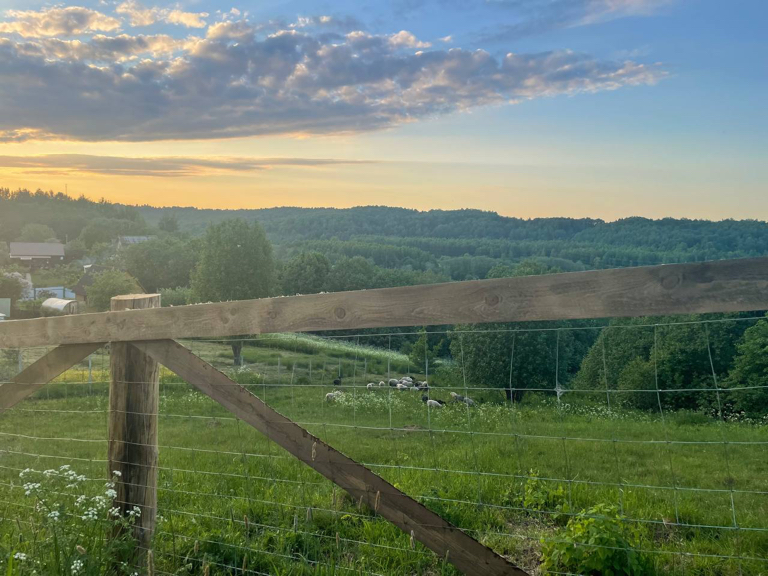 Фото Остров Kattegat