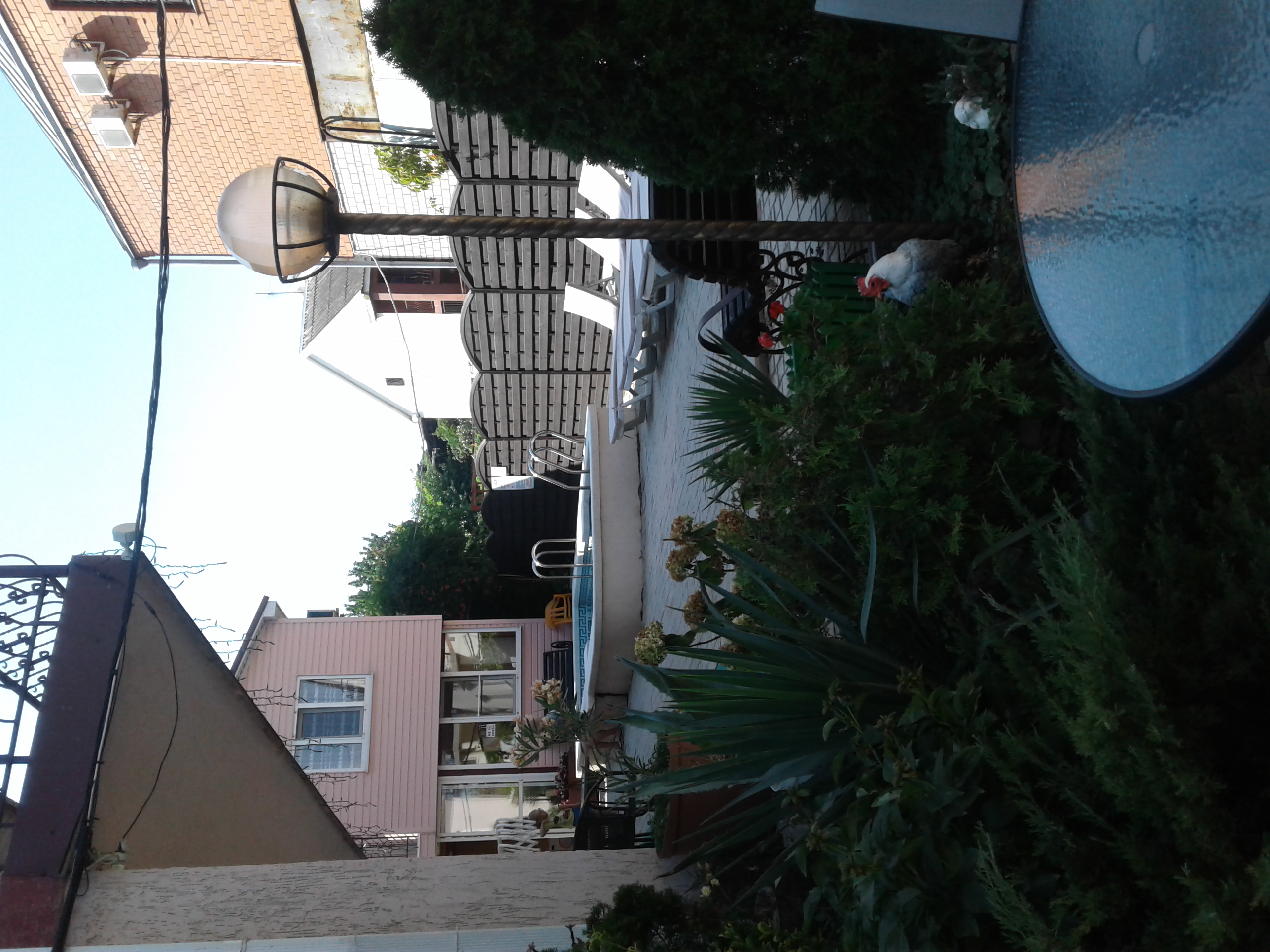 Фото Тихий уголок