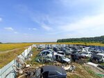 Авторазбор Озёрный (Tula Region, munitsipalnoye obrazovaniye Tula, Tsentralniy City administrative district), car disassembly
