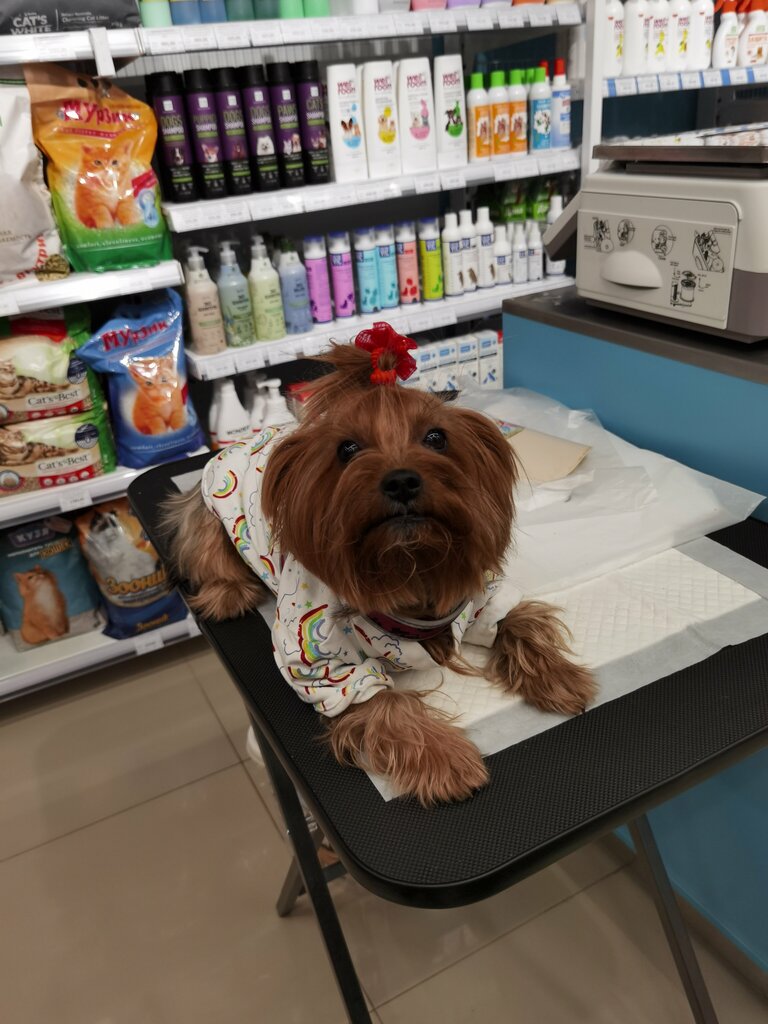 Pet shop Четыре Лапы, Belgorod, photo