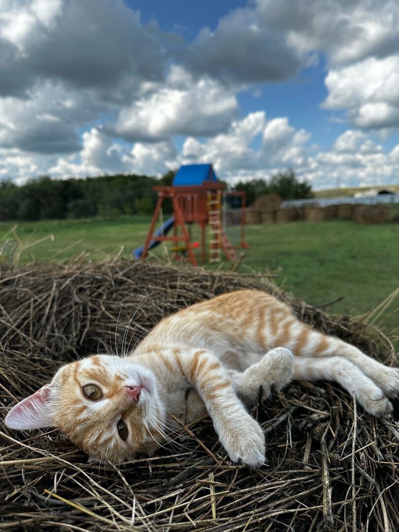 Фото Солнечный Пригорок