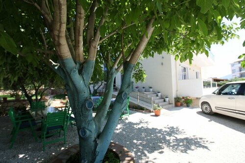 Гостиница Hotel Golden в Ксамиле