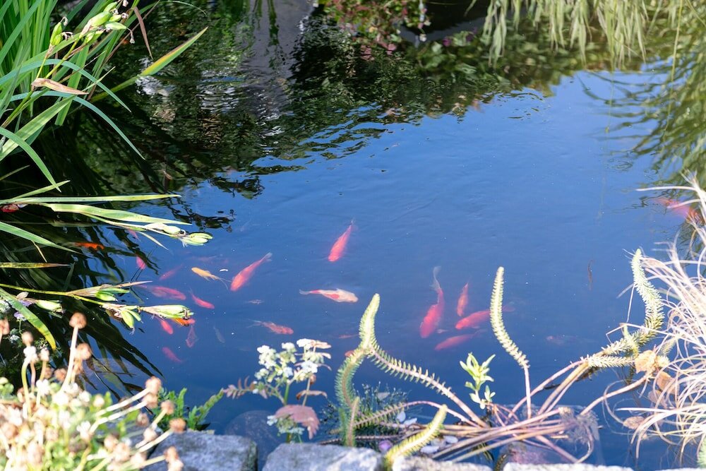 Фото Bed & Breakfast Horsens Udsigten