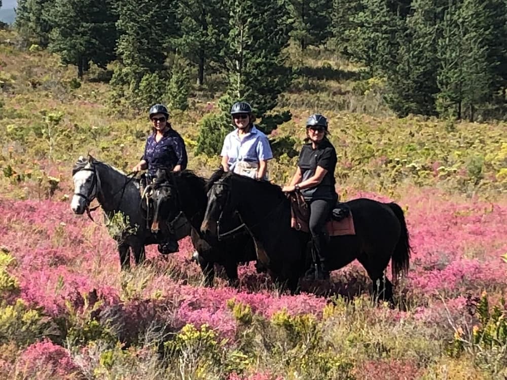 Фото Oudebosch Guest Farm