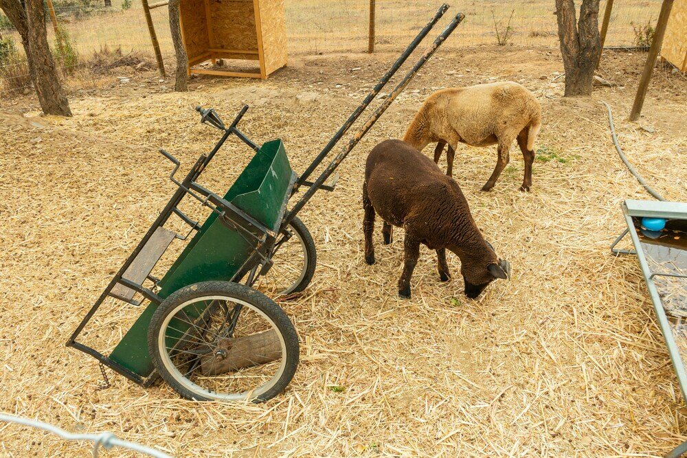 Фото Reflexos d'Alma Turismo Rural
