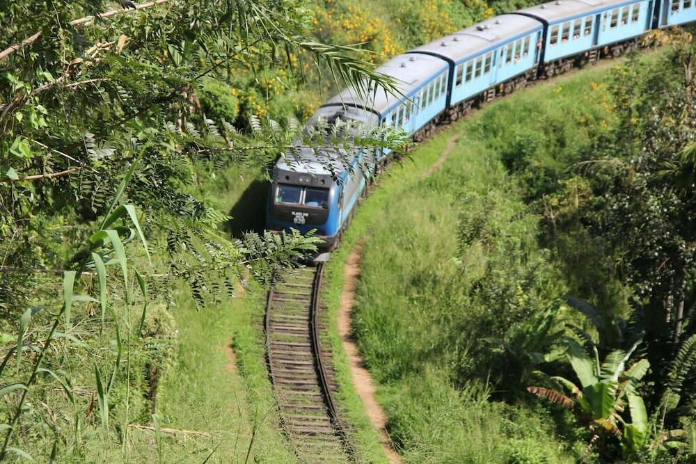 Фото Rockvila Guest House