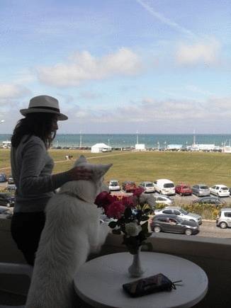 Фото Hotel De La Plage