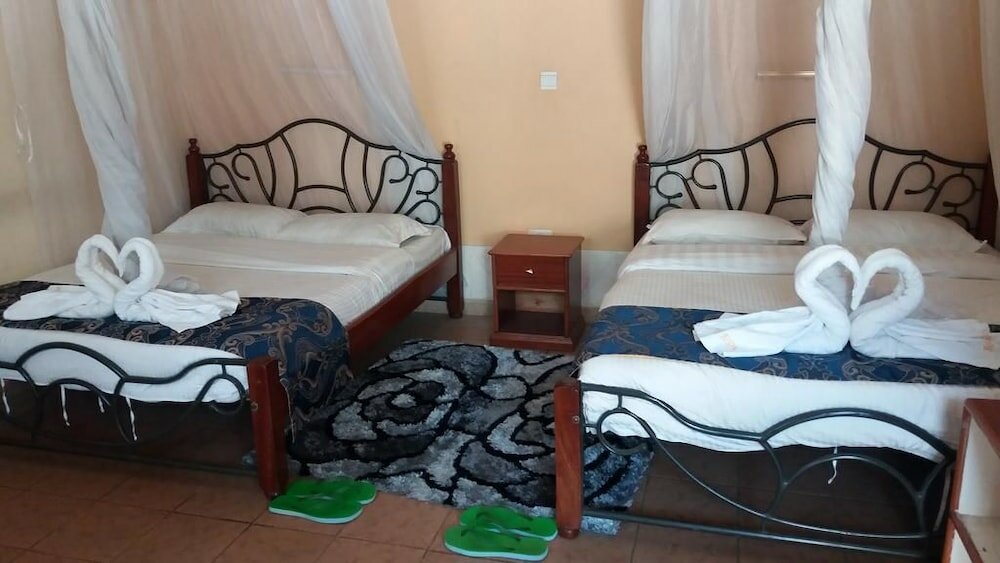 Фото Bison Hotel