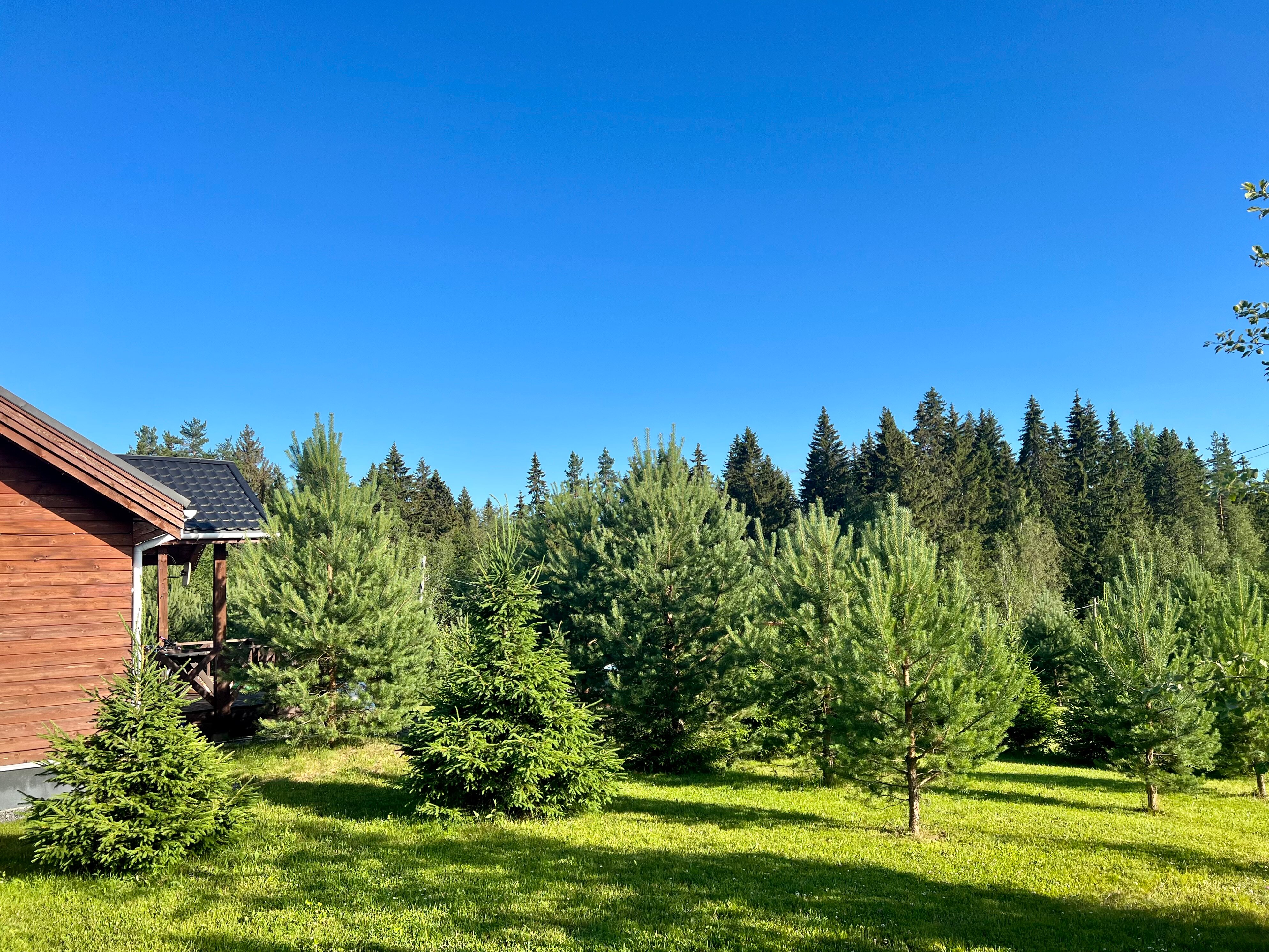 Фото Филина Гора