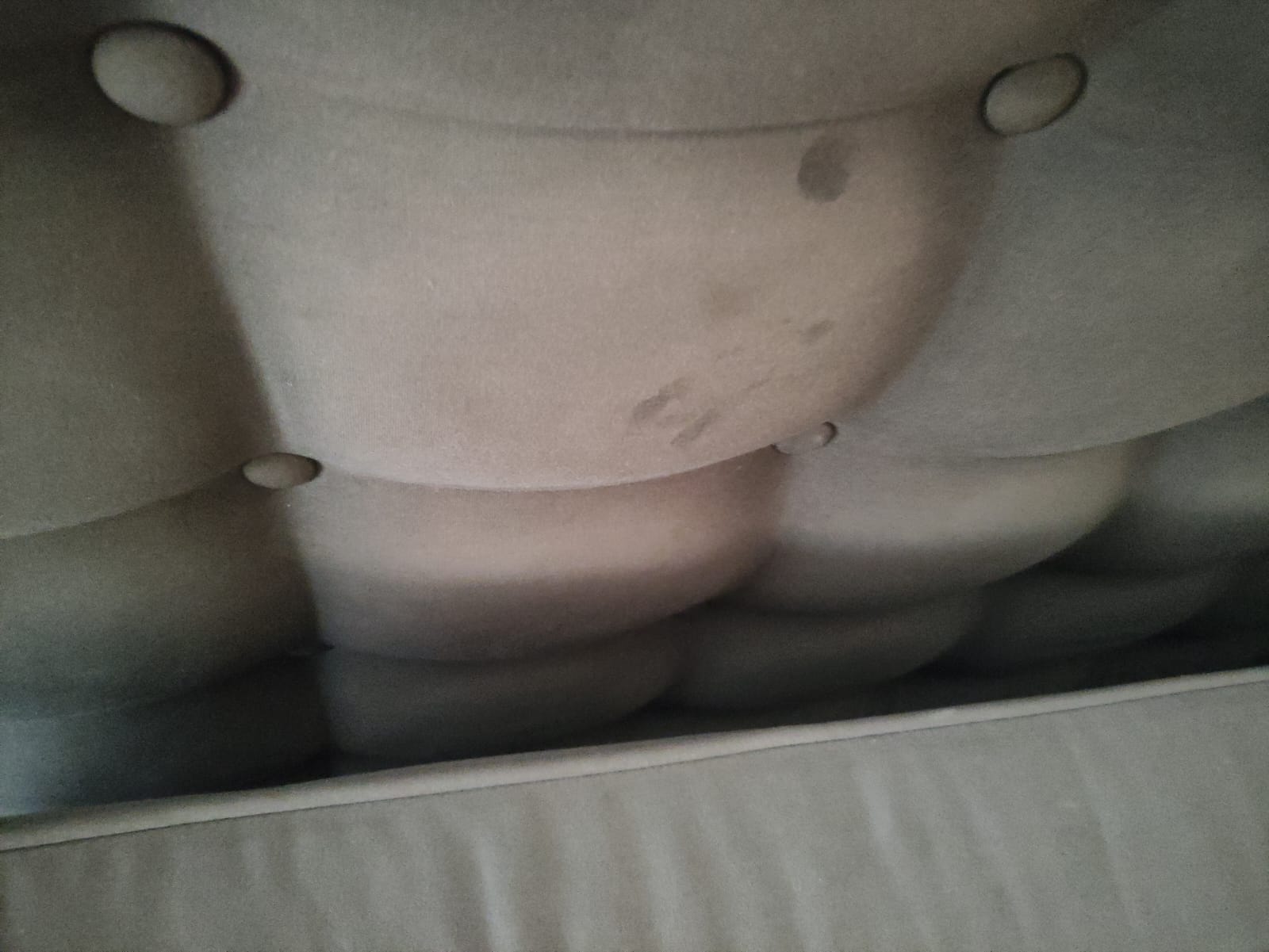 Фото ПроЛес