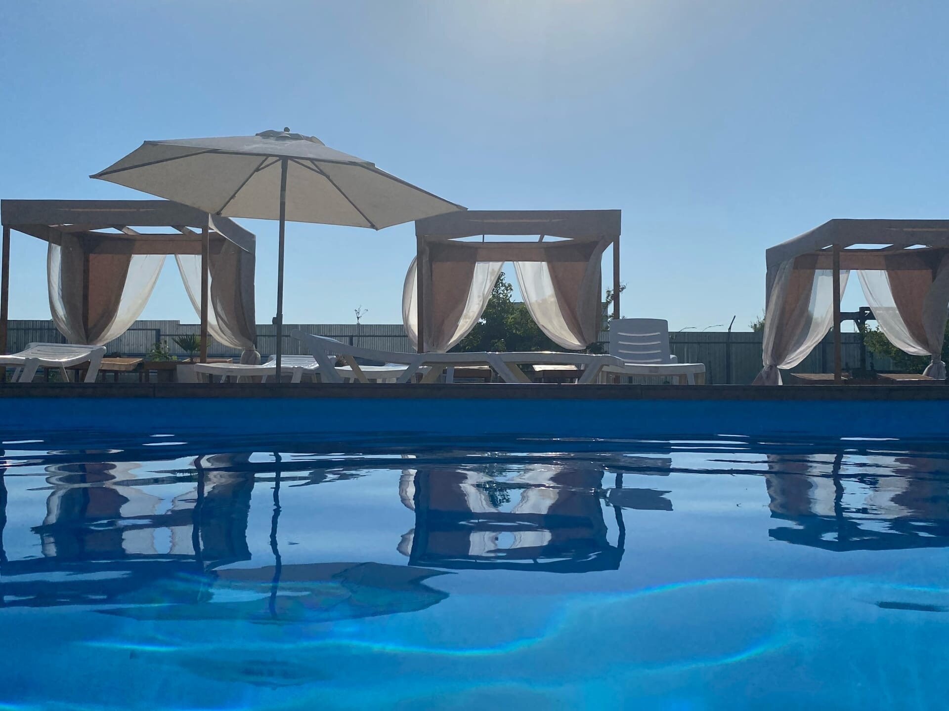 Фото Гранд Камелия