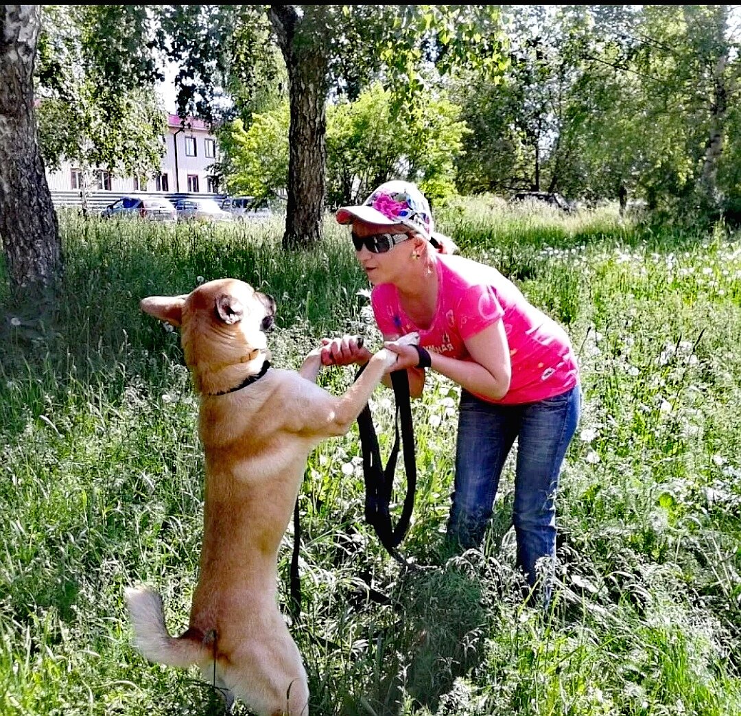 Фото Маршал