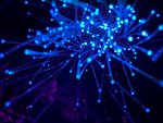 Нерюнгри-Телеком (prospekt Mira, 11), internet service provider