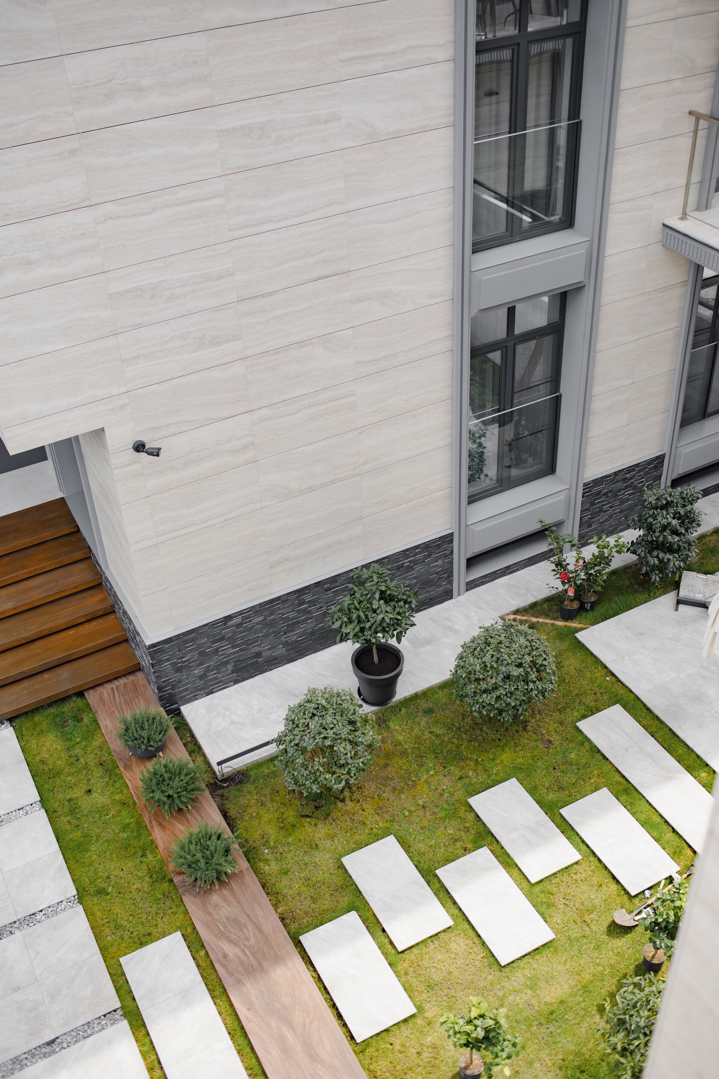 Фото Две оливы