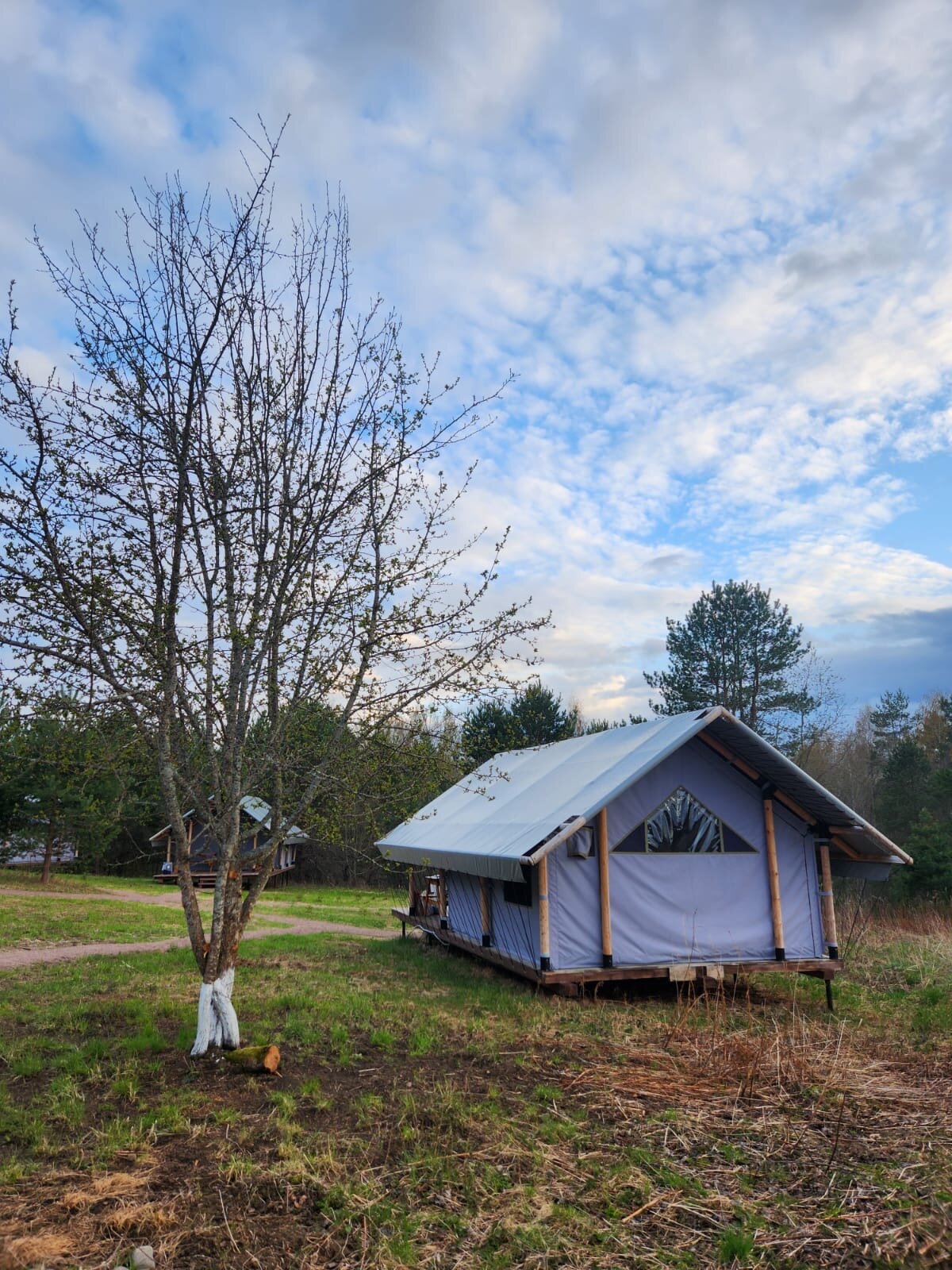 Фото Йети на комете