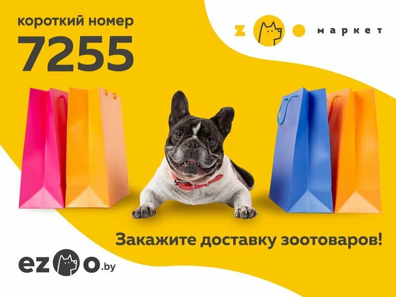 Pet shop Zooмаркет, Minsk, photo