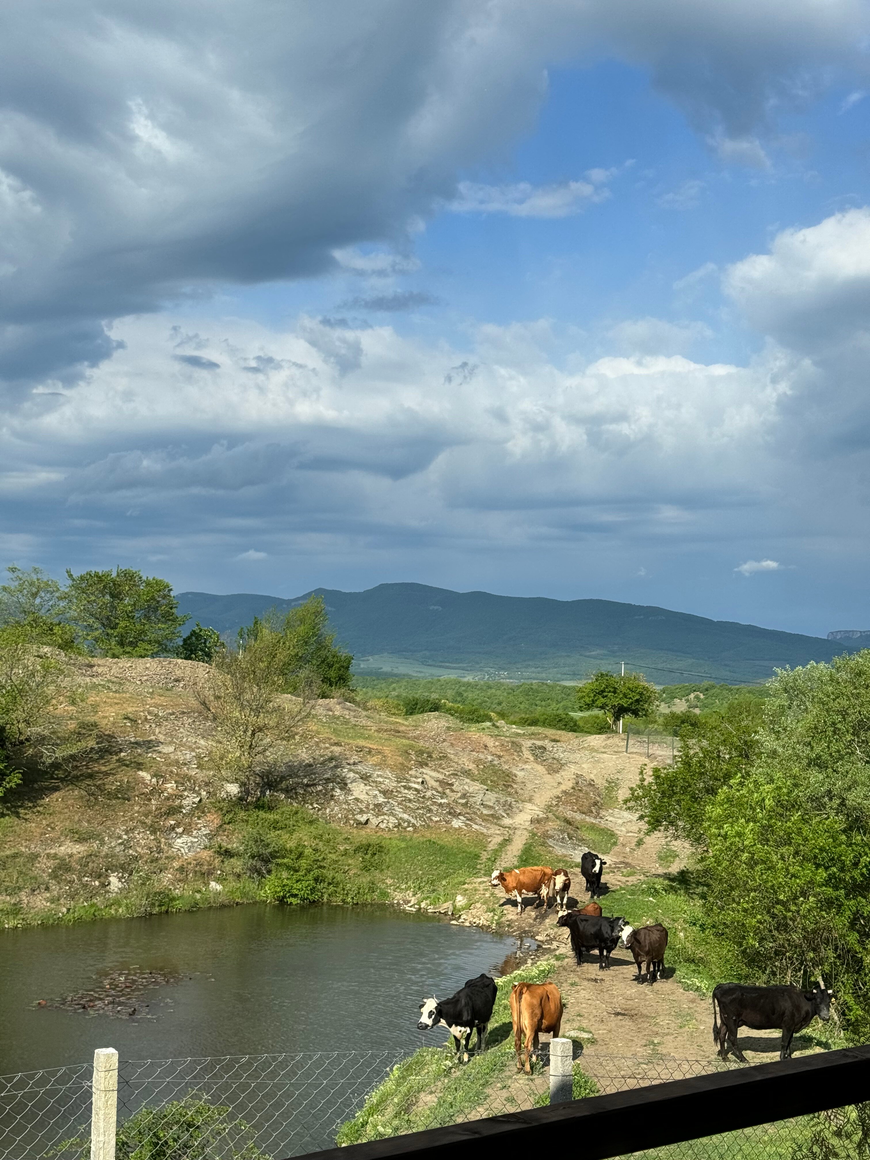 Фото Едем в горы