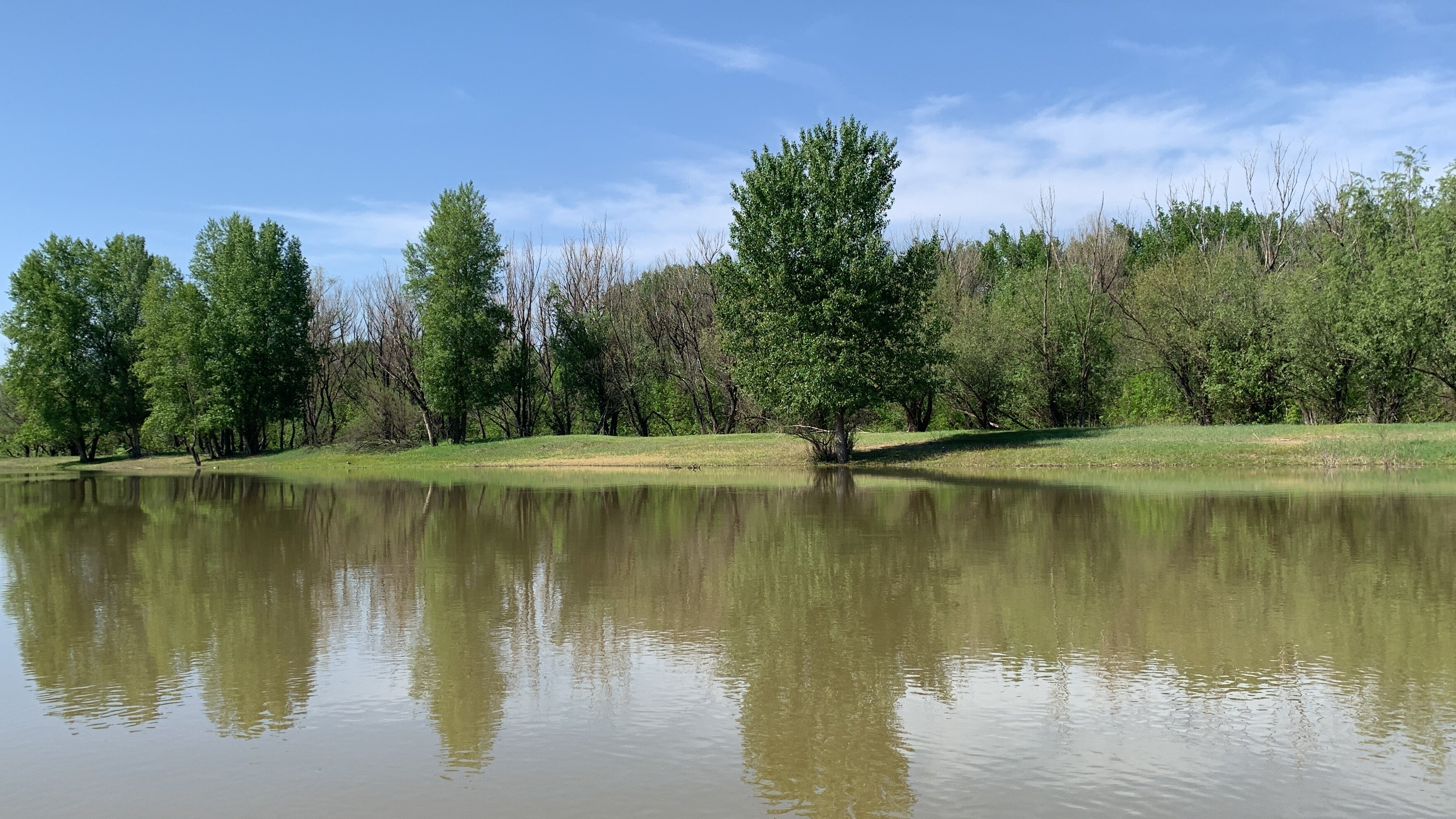 Фото Росинка