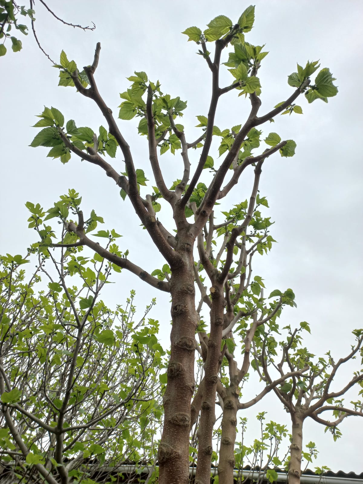 Фото Казантип центр