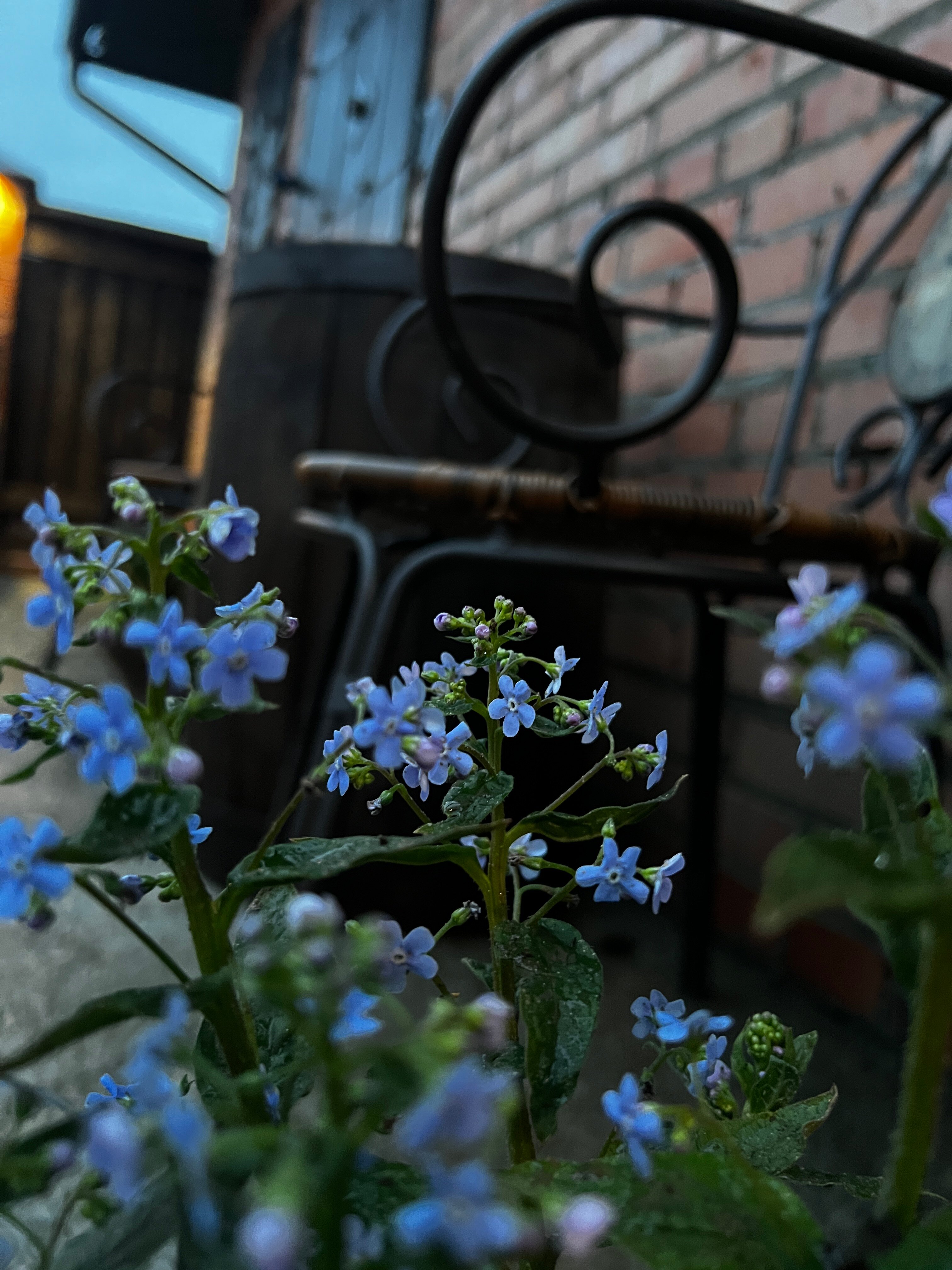 Фото Дом с Амбаром 1903