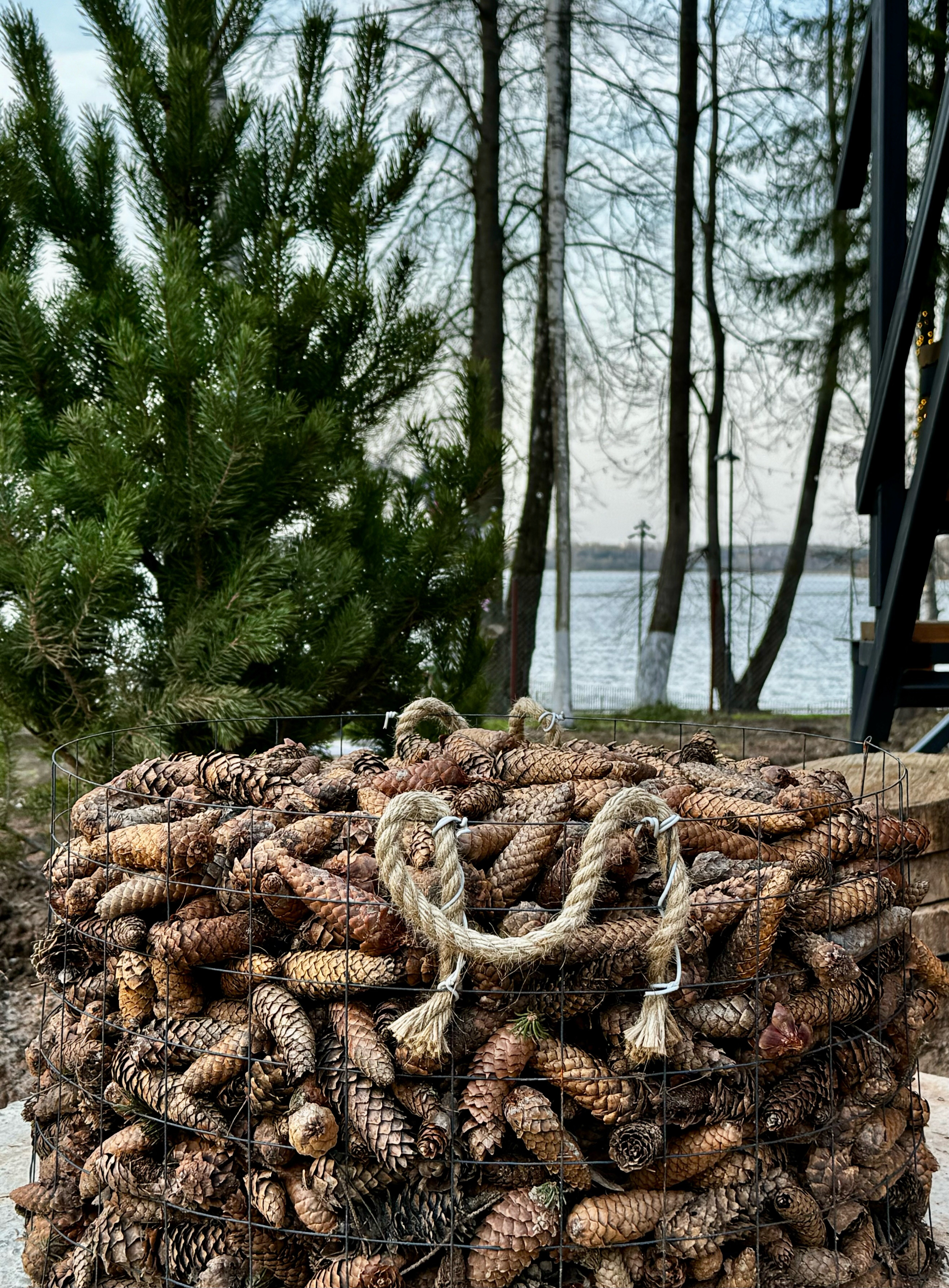 Фото База отдыха Домики