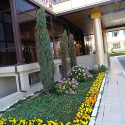 Фото Адмирал