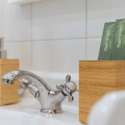 Фото Эколайнер