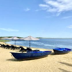 Фото Мандала