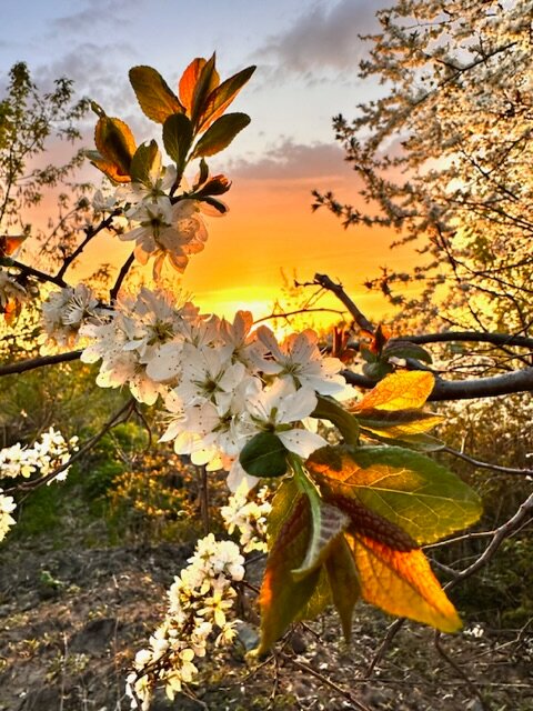 Фото Казачий Хутор