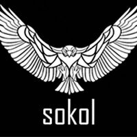 Сокол