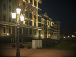 Апартаменты Балтик Хаус (ulitsa Gagarina, 85к2), hotel