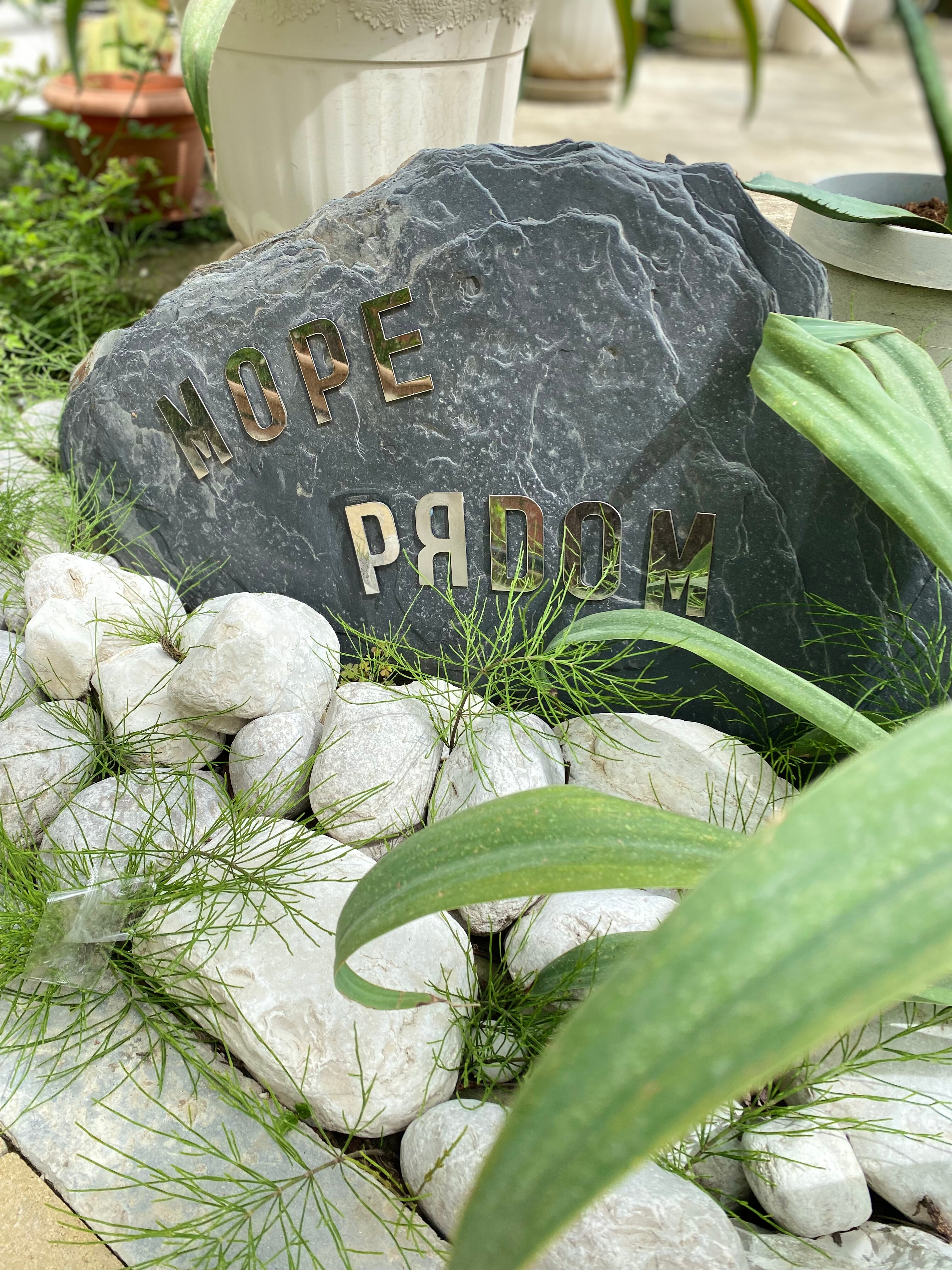 Фото Море Рядом