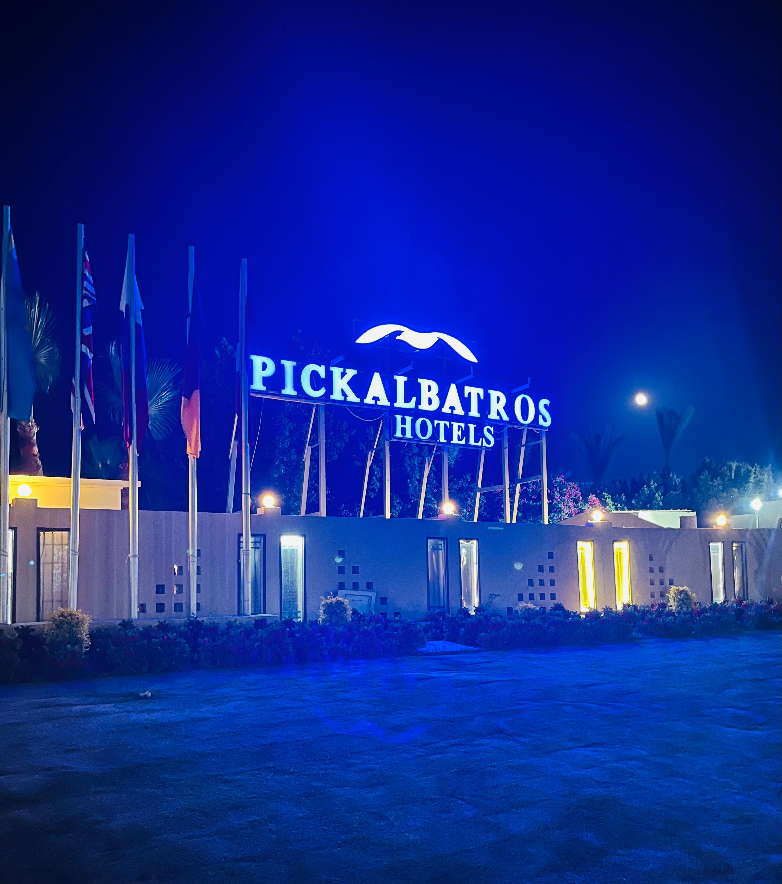 Фото Pickalbatros Royal Moderna Resort