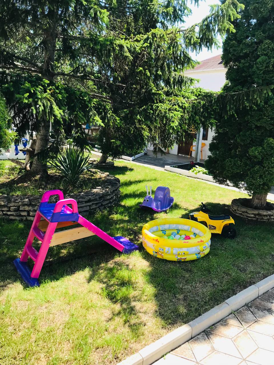 Фото У Людвига