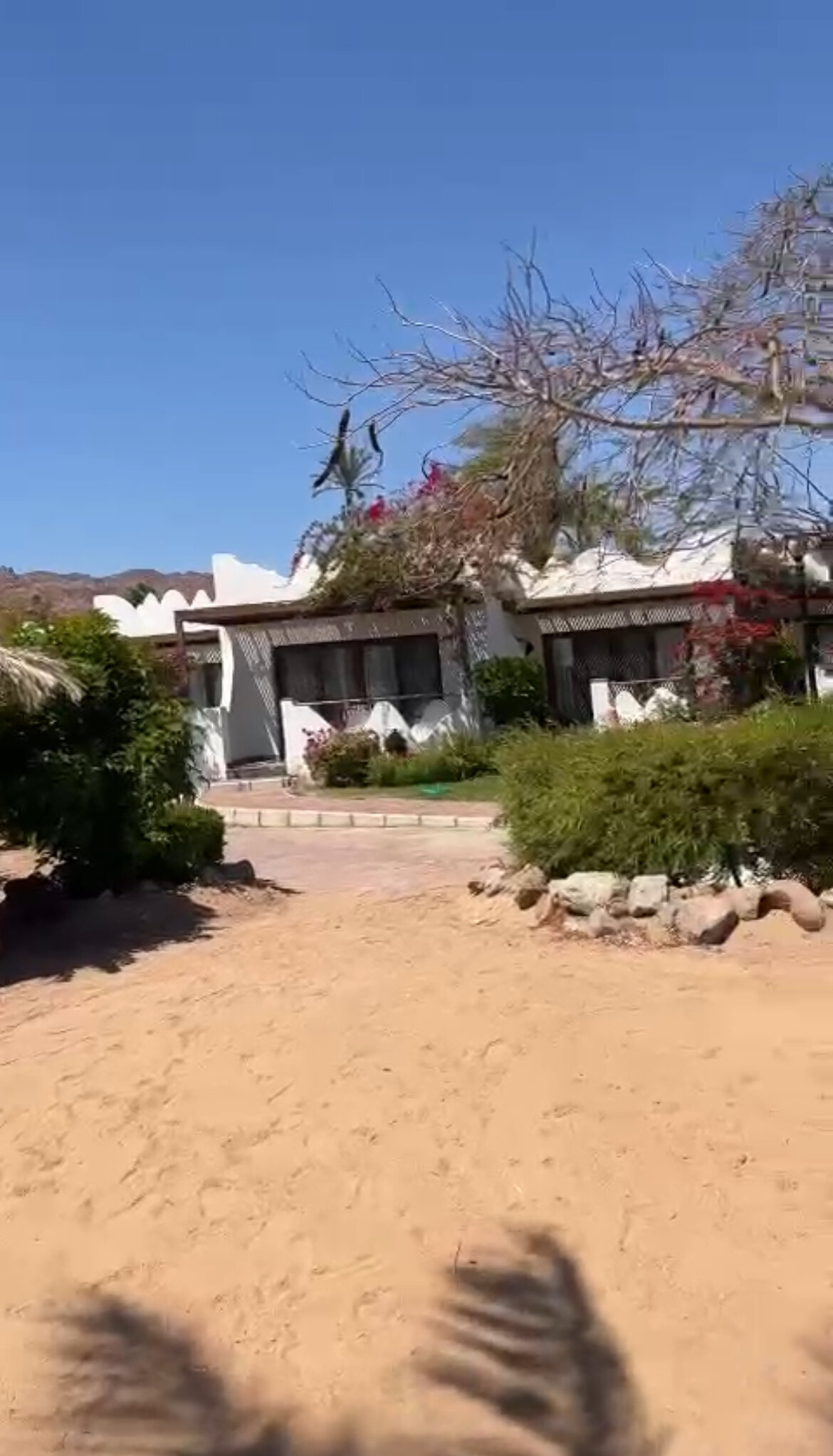 Фото Swiss Inn Resort Dahab