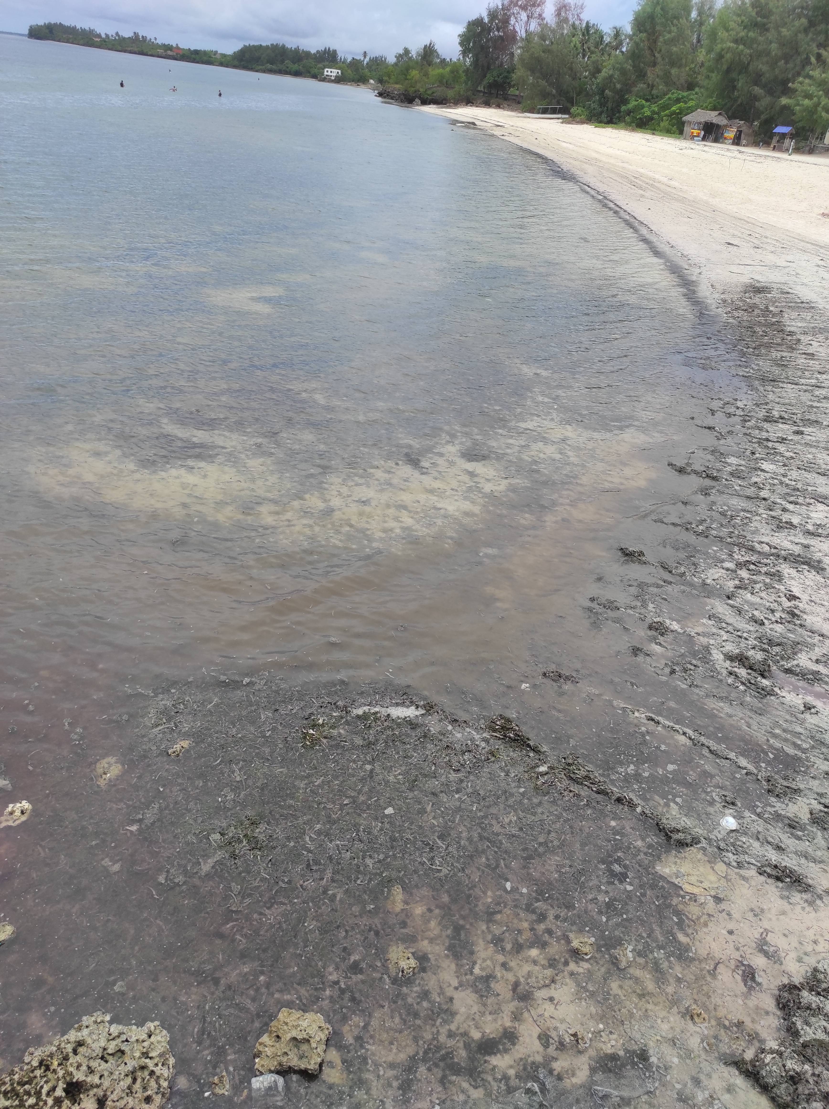 Фото Zanzibar Bay Resort