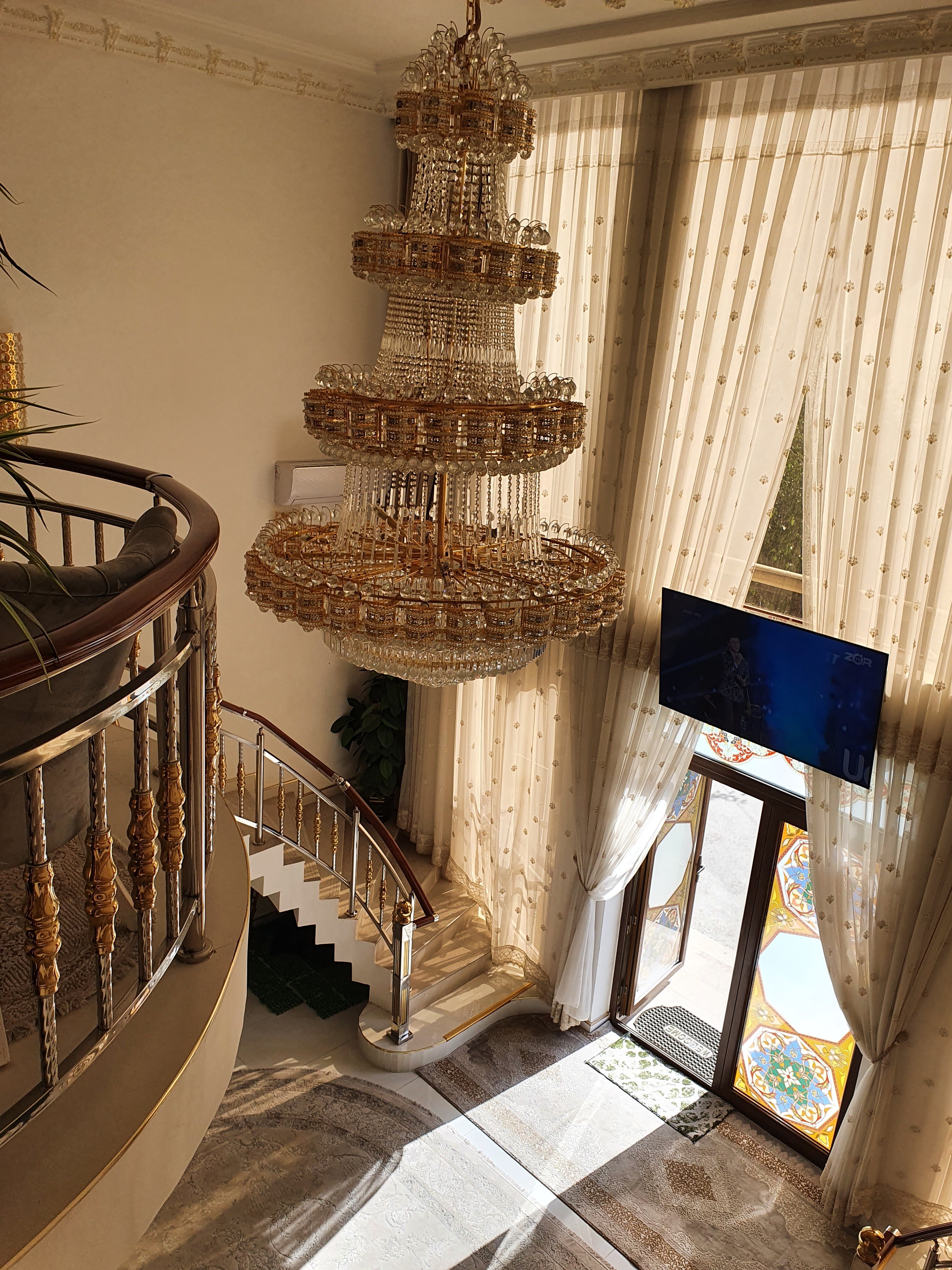 Фото Шарк Юлдузи