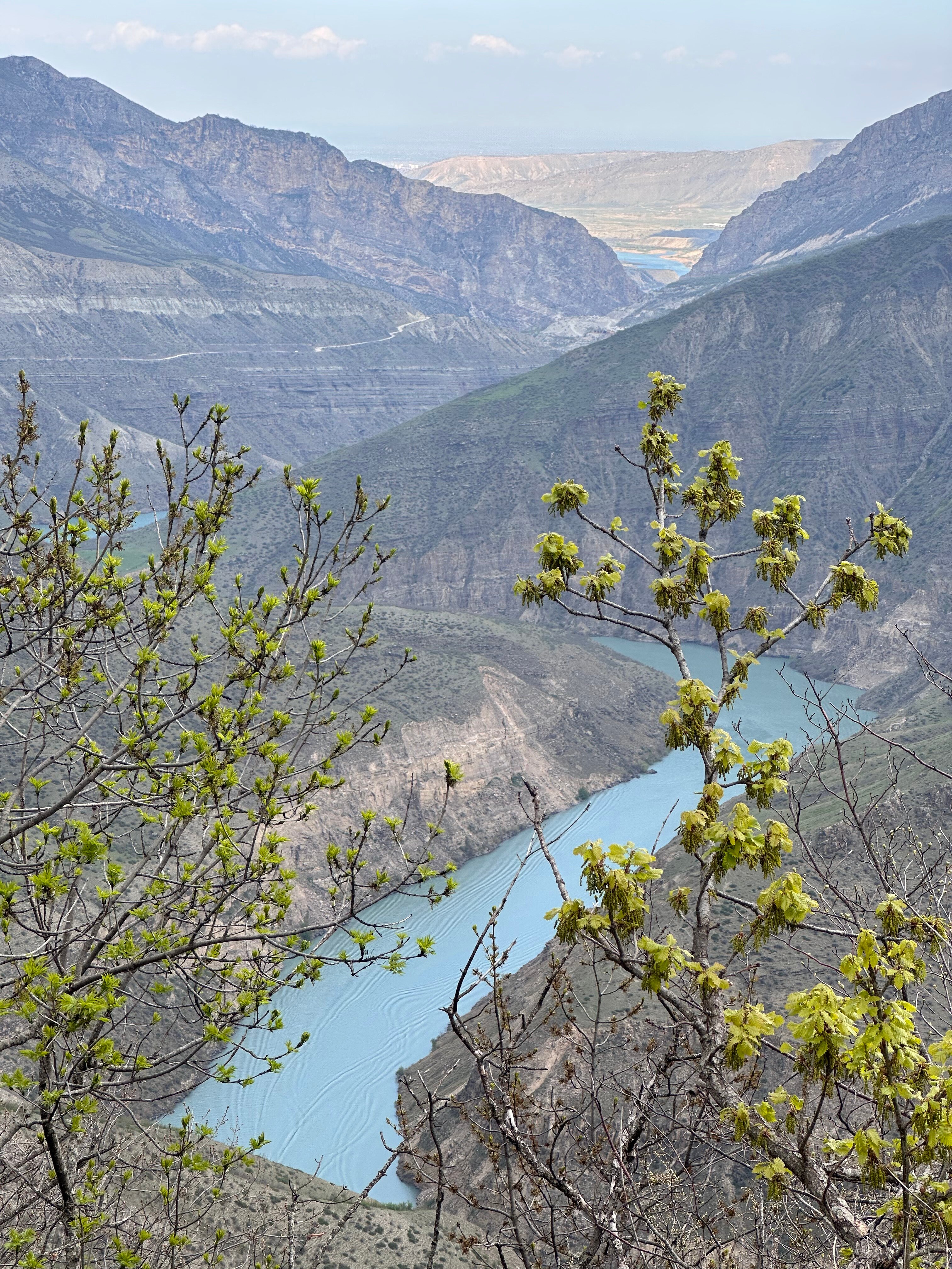 Фото У Амины