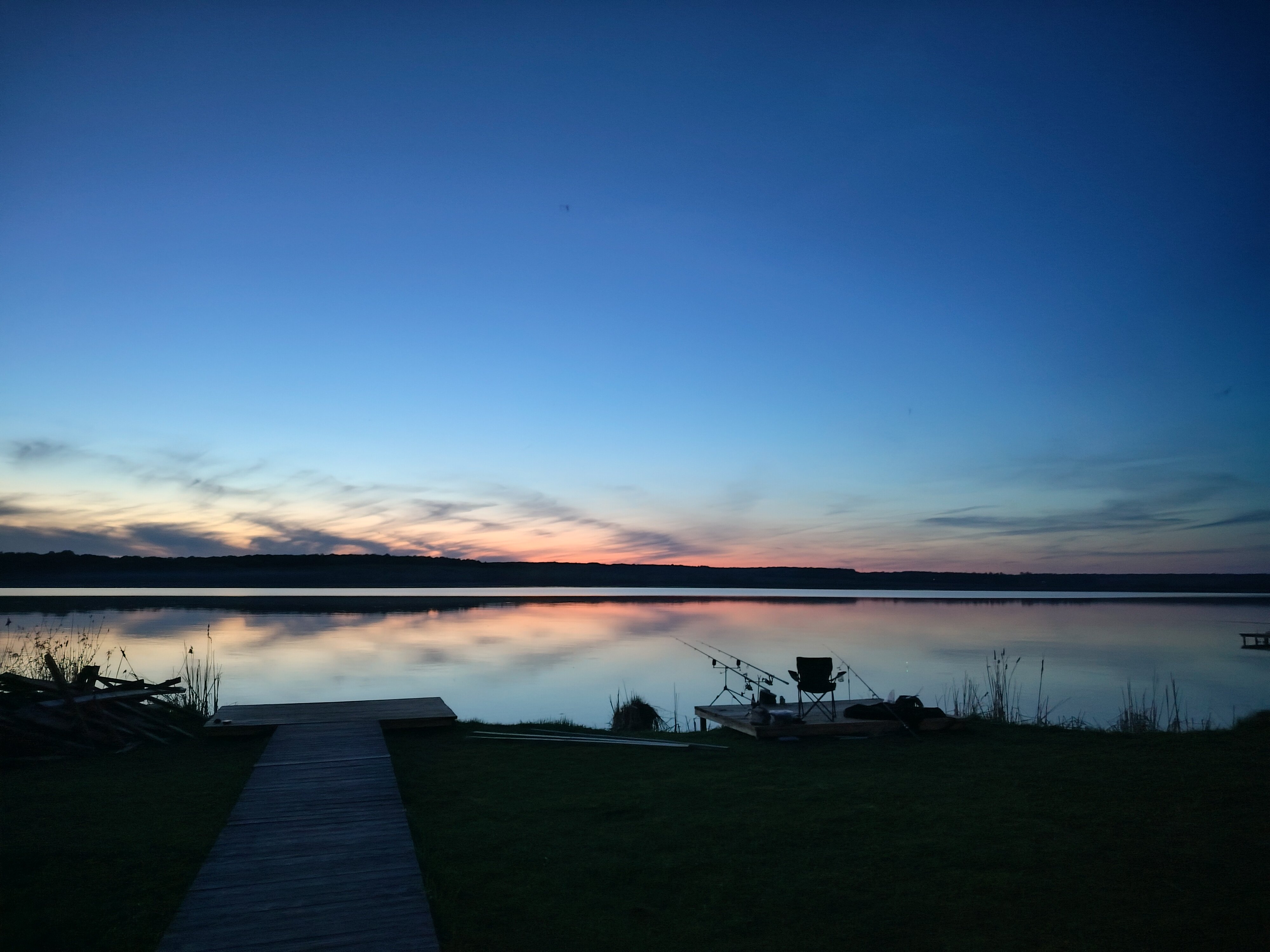 Фото Белая цапля