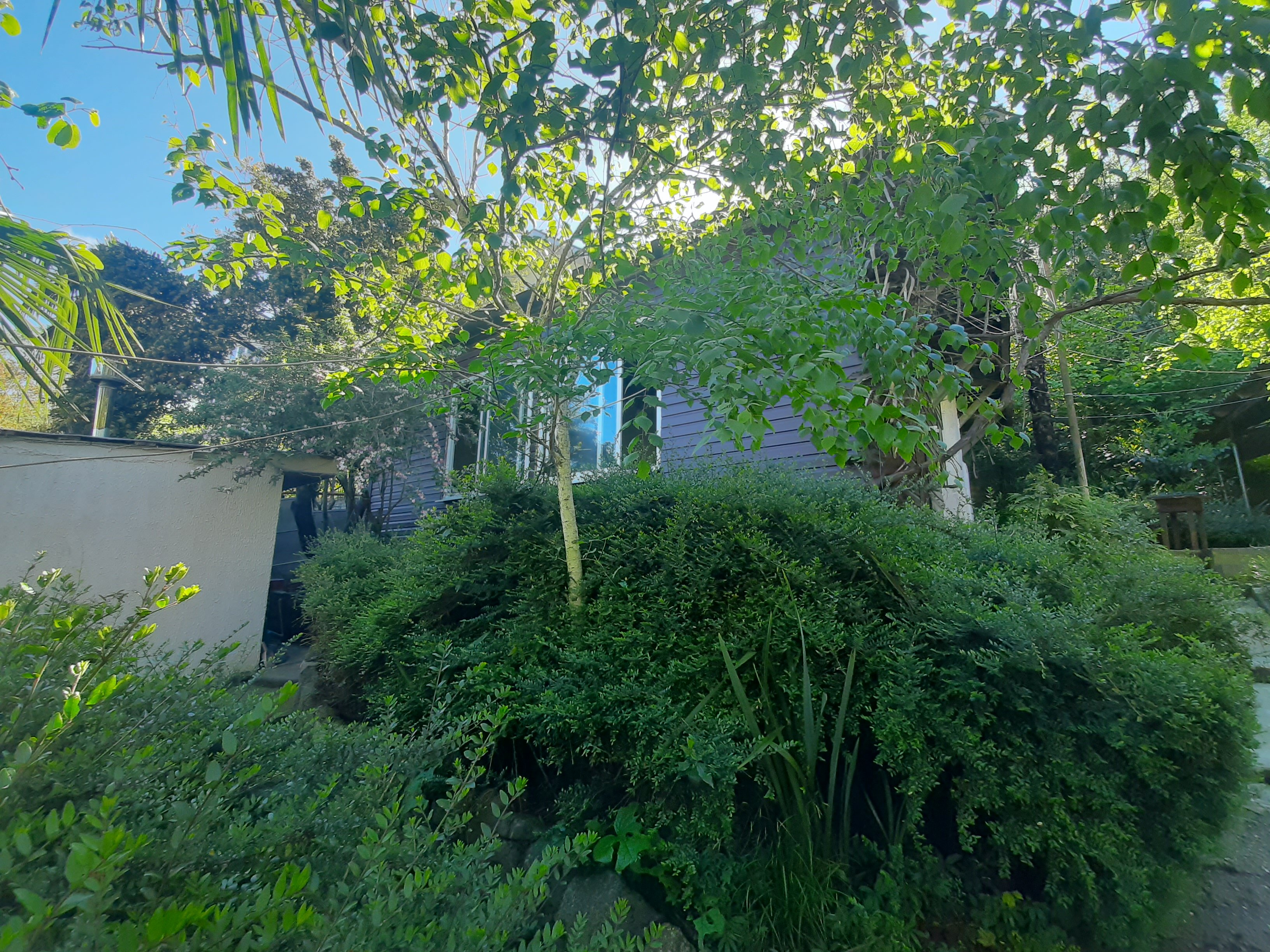 Фото Тихий дворик