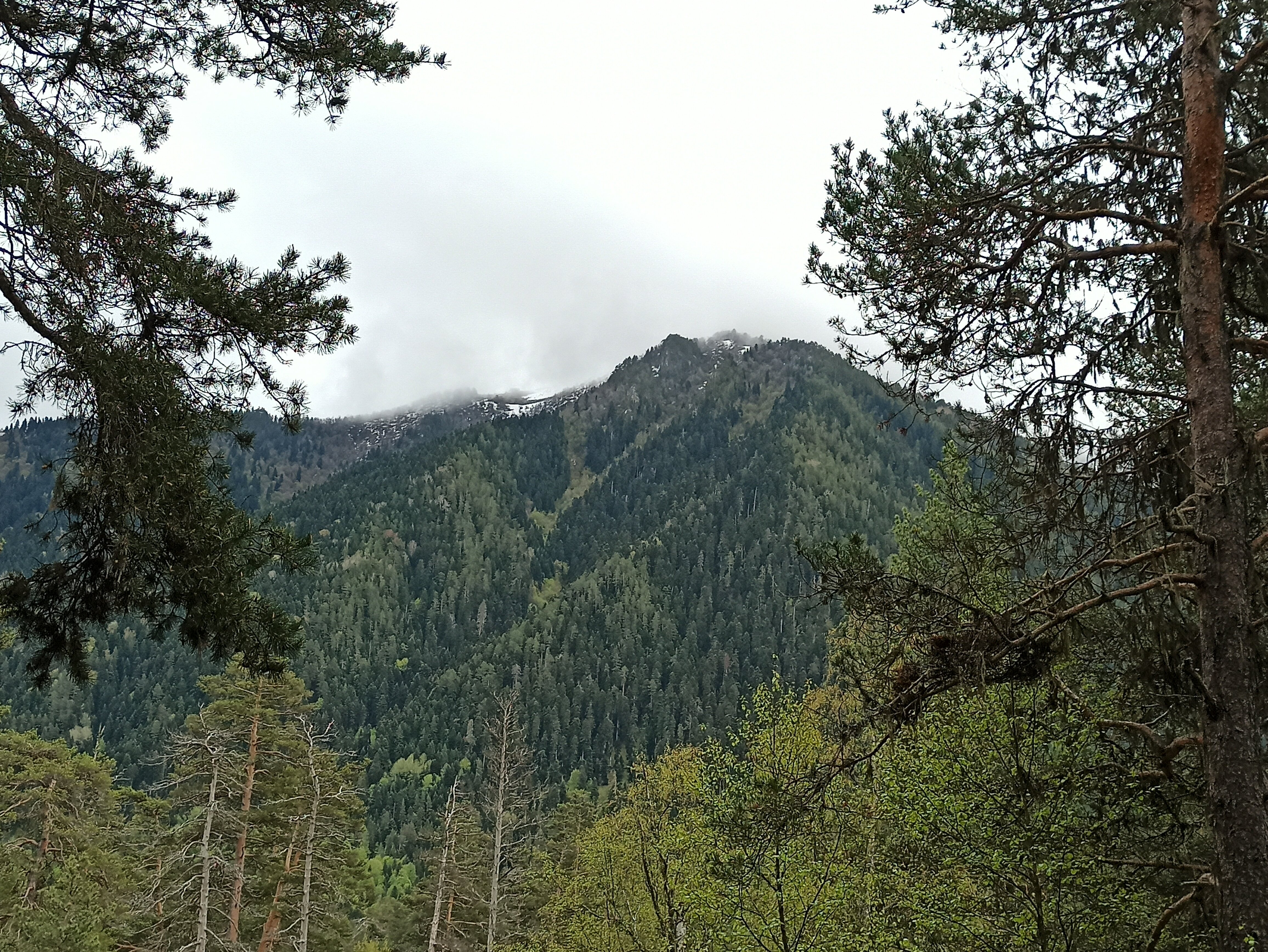 Фото Chalet_Family_Arkhyz