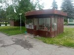 Овощи (Republic of Severnaya Ossetia-Alania, Vladikavkaz, mikrorayon Vesna), greengrocery