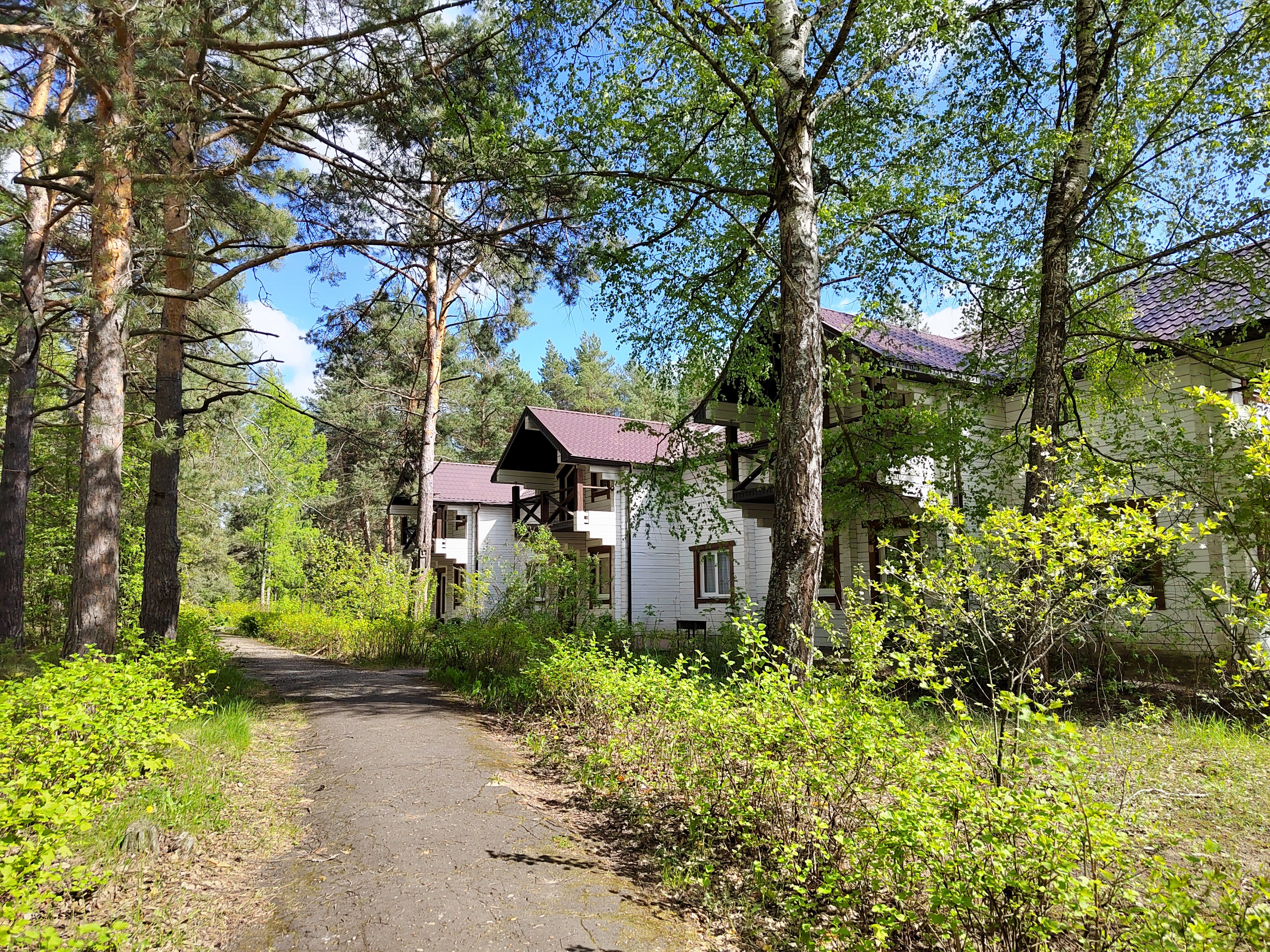 Фото Большая медведица