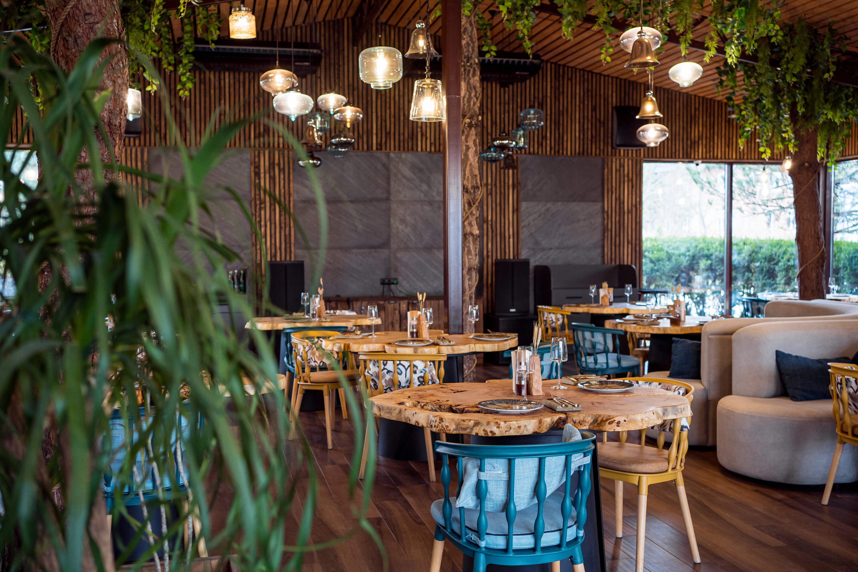 Фото Кедровый бор