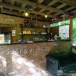 Фото Сосновый Бор