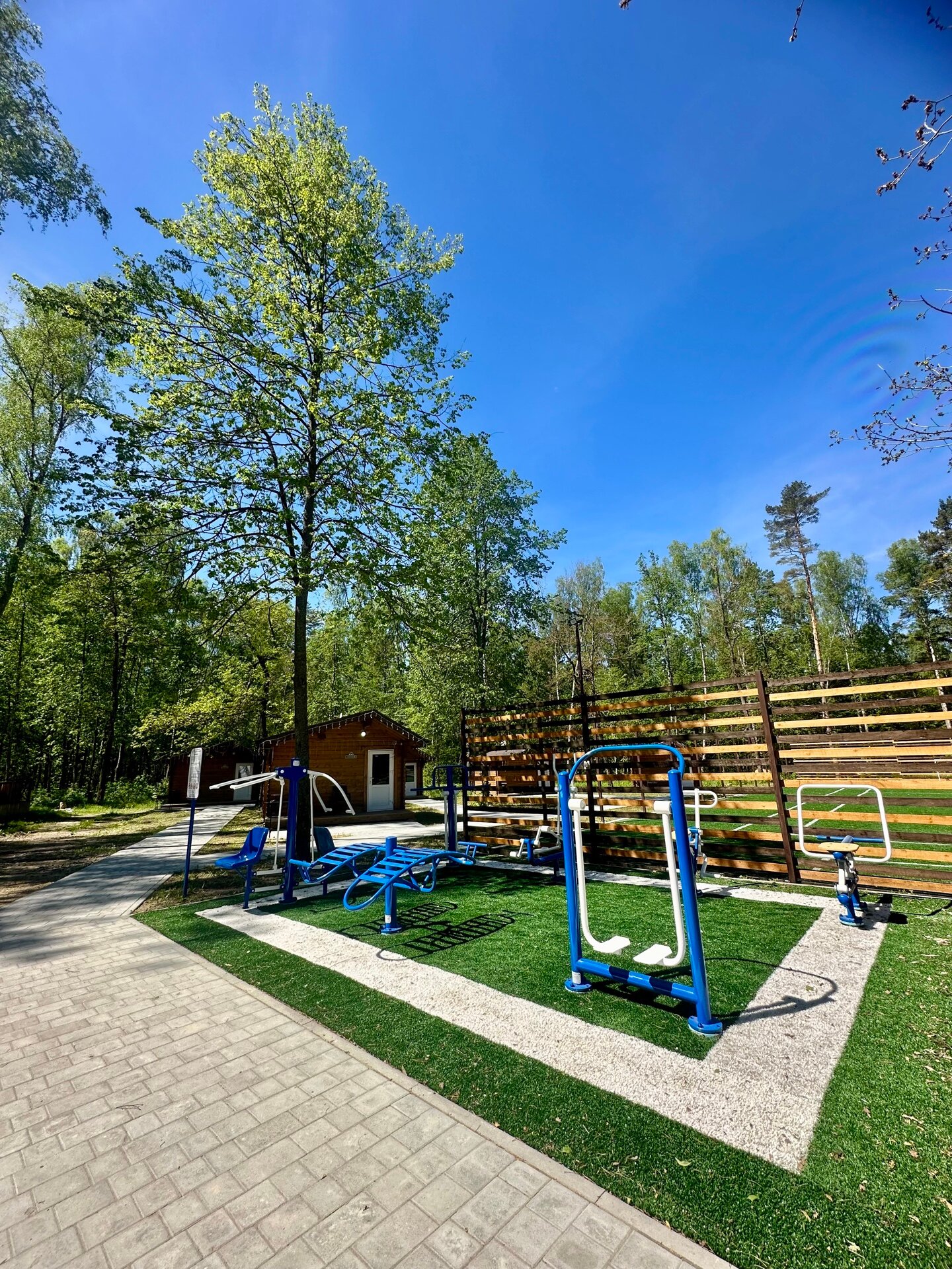 Фото Подберёзовик