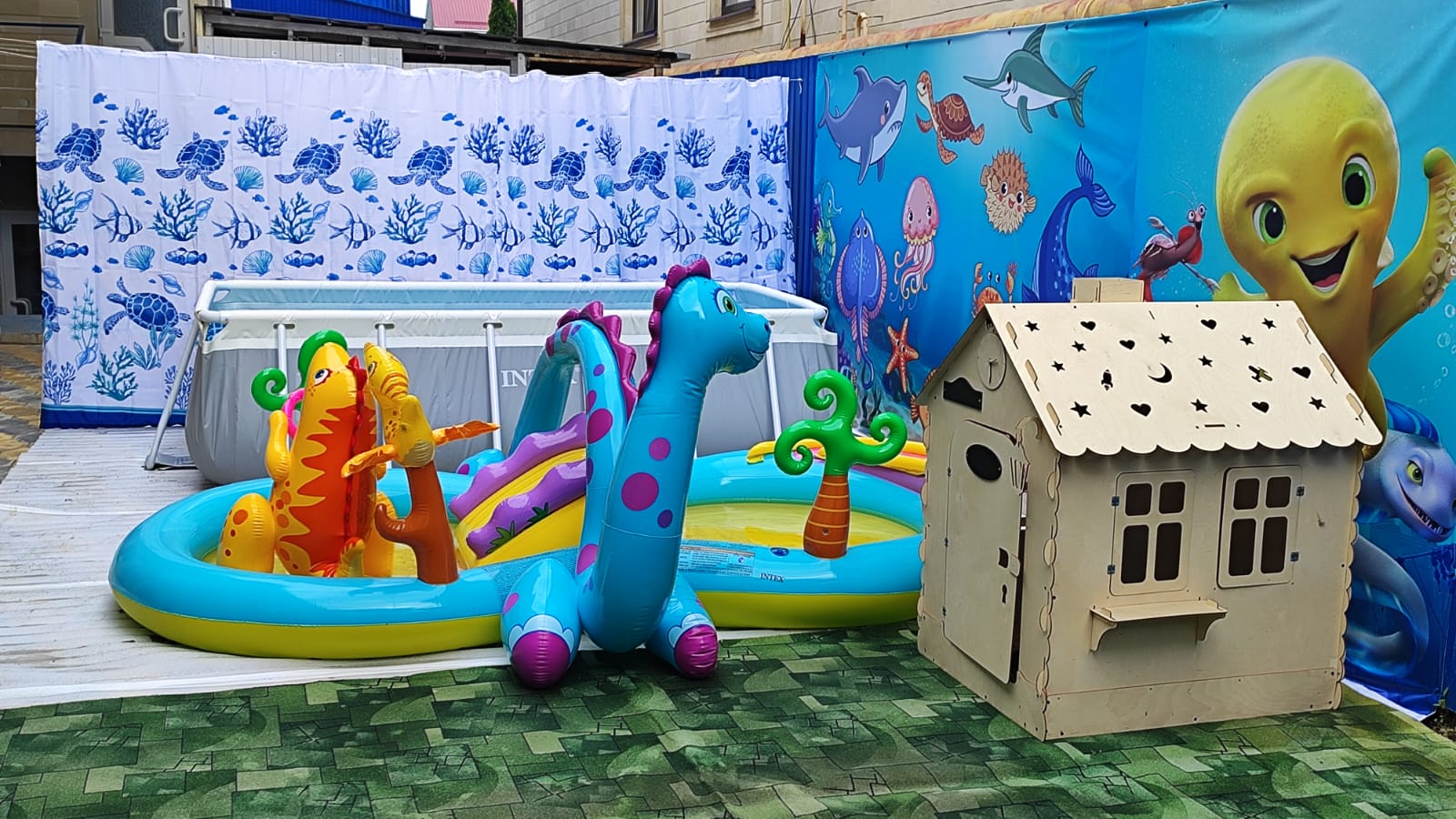 Фото Афалина